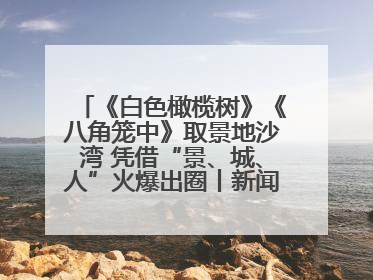 《白色橄榄树》《八角笼中》取景地沙湾 凭借“景、城、人”火爆出圈丨新闻发布最前线