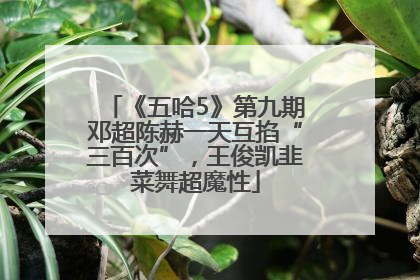 《五哈5》第九期邓超陈赫一天互掐“三百次”，王俊凯韭菜舞超魔性
