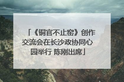《铜官不止窑》创作交流会在长沙政协同心园举行 陈刚出席