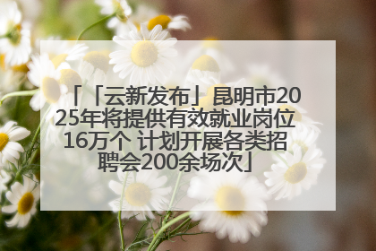 「云新发布」昆明市2025年将提供有效就业岗位16万个 计划开展各类招聘会200余场次