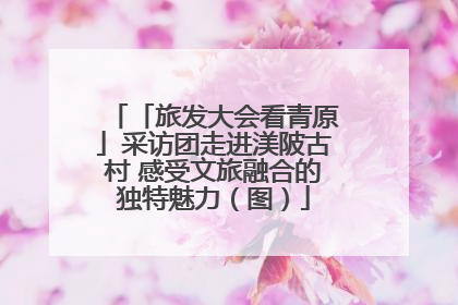 「旅发大会看青原」采访团走进渼陂古村 感受文旅融合的独特魅力（图）