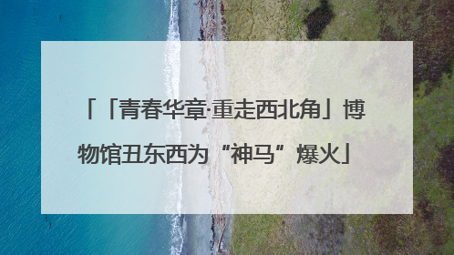 「青春华章·重走西北角」博物馆丑东西为“神马”爆火