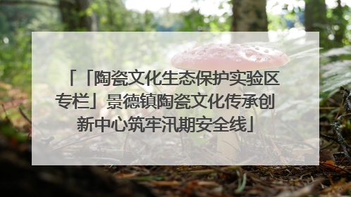 「陶瓷文化生态保护实验区专栏」景德镇陶瓷文化传承创新中心筑牢汛期安全线
