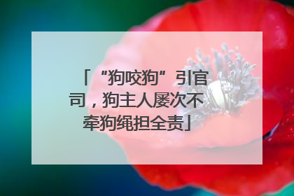 “狗咬狗”引官司，狗主人屡次不牵狗绳担全责