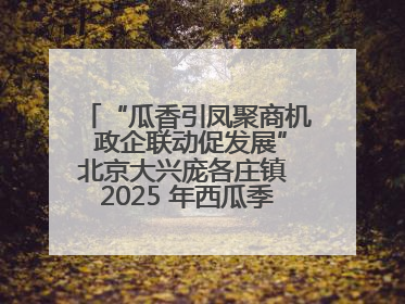 “瓜香引凤聚商机 政企联动促发展”北京大兴庞各庄镇 2025 年西瓜季政企联动产业推介活动圆满举行