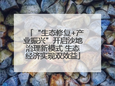 “生态修复+产业振兴”开启沙地治理新模式 生态经济实现双效益