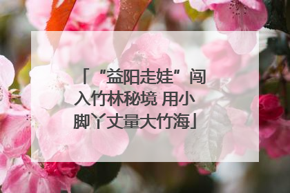 “益阳走娃”闯入竹林秘境 用小脚丫丈量大竹海