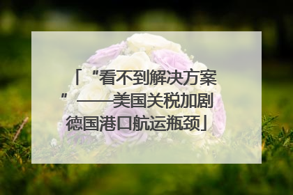“看不到解决方案”——美国关税加剧德国港口航运瓶颈