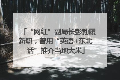 “网红”副局长彭勃履新职，曾用“英语+东北话”推介当地大米