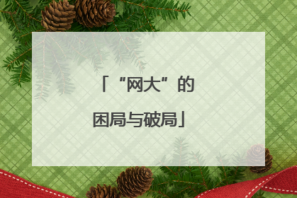 “网大”的困局与破局