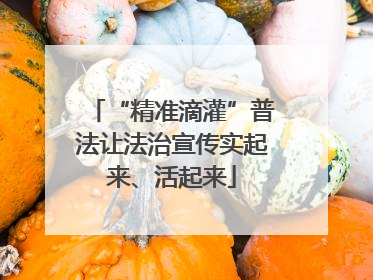 “精准滴灌”普法让法治宣传实起来、活起来