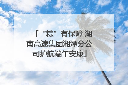 “粽”有保障 湖南高速集团湘潭分公司护航端午安康