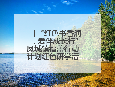 “红色书香润，爱伴成长行”凤城镇福蕾行动计划红色研学活动圆满结束