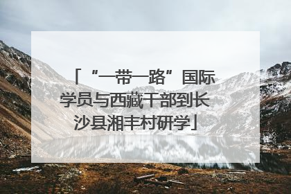 “一带一路”国际学员与西藏干部到长沙县湘丰村研学