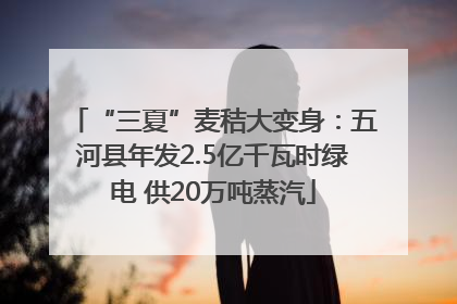 “三夏”麦秸大变身：五河县年发2.5亿千瓦时绿电 供20万吨蒸汽