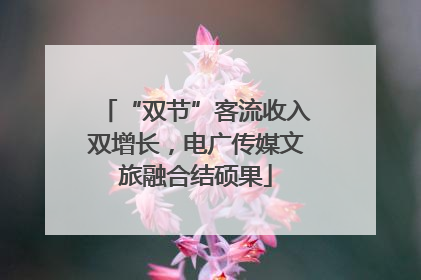 “双节”客流收入双增长，电广传媒文旅融合结硕果