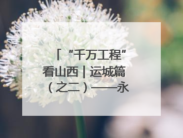 “千万工程”看山西｜运城篇（之二）——永济市东开张村