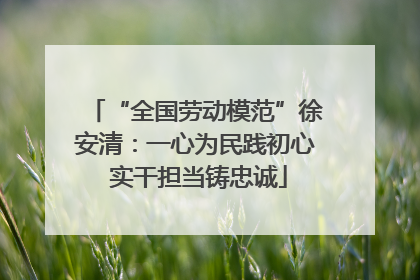 “全国劳动模范”徐安清：一心为民践初心 实干担当铸忠诚