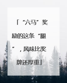 “六马”奖励的这条“腿”，风味比奖牌还厚重