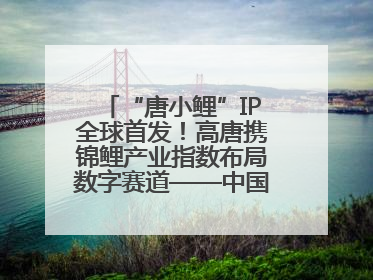 “唐小鲤”IP全球首发！高唐携锦鲤产业指数布局数字赛道——中国高唐锦鲤产业指数暨“唐小鲤”IP全球首发仪式在杭州举行