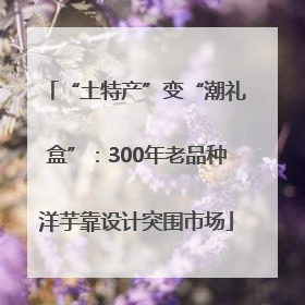 “土特产”变“潮礼盒”：300年老品种洋芋靠设计突围市场