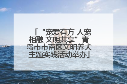 “宠爱有方 人宠相融 文明共享”青岛市市南区文明养犬主题实践活动举办