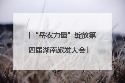 “岳农力量”绽放第四届湖南旅发大会