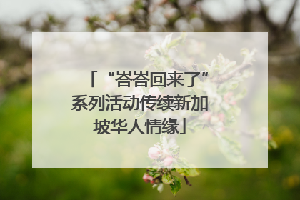 “峇峇回来了”系列活动传续新加坡华人情缘