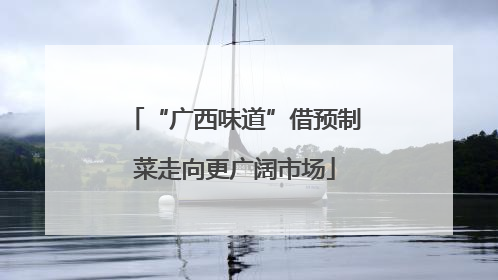 “广西味道”借预制菜走向更广阔市场