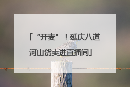 “开麦”！延庆八道河山货卖进直播间