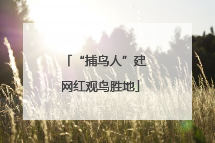 “捕鸟人”建网红观鸟胜地