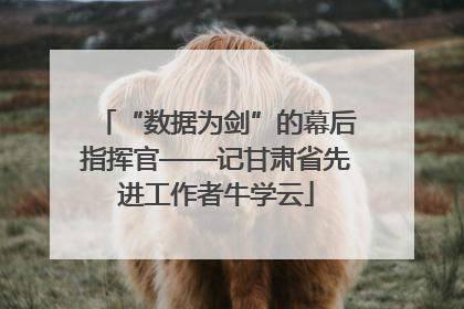 “数据为剑”的幕后指挥官——记甘肃省先进工作者牛学云