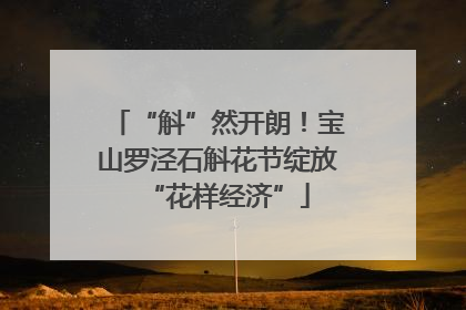 “斛”然开朗！宝山罗泾石斛花节绽放“花样经济”