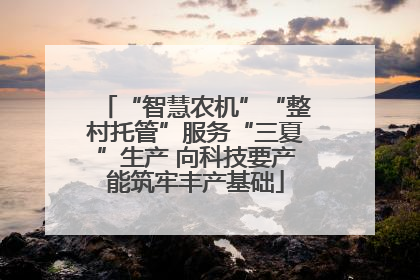 “智慧农机”“整村托管”服务“三夏”生产 向科技要产能筑牢丰产基础