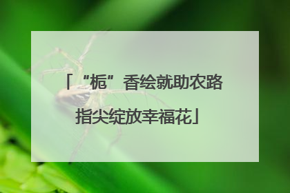 “栀”香绘就助农路 指尖绽放幸福花