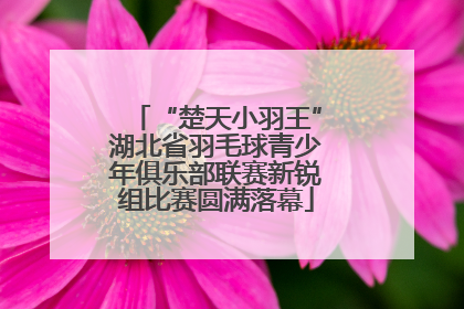 “楚天小羽王”湖北省羽毛球青少年俱乐部联赛新锐组比赛圆满落幕