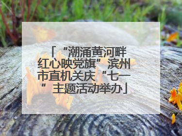 “潮涌黄河畔 红心映党旗”滨州市直机关庆“七一”主题活动举办