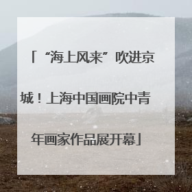 “海上风来”吹进京城！上海中国画院中青年画家作品展开幕