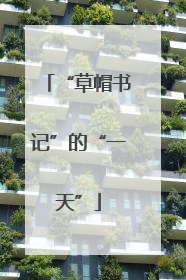“草帽书记”的“一天”