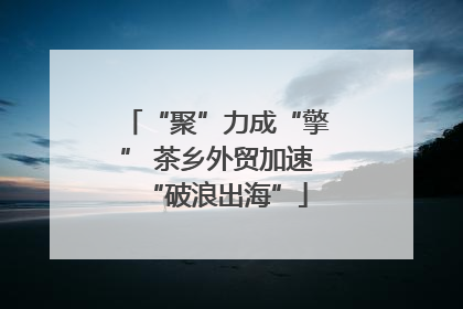 “聚”力成“擎” 茶乡外贸加速“破浪出海”