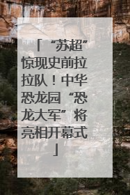 “苏超”惊现史前拉拉队！中华恐龙园“恐龙大军”将亮相开幕式