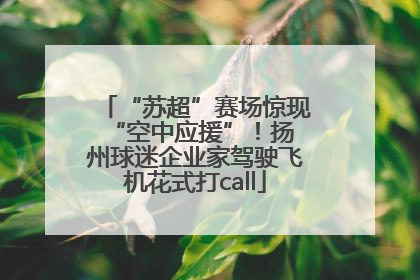 “苏超”赛场惊现 “空中应援”！扬州球迷企业家驾驶飞机花式打call