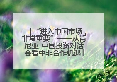 “进入中国市场，非常重要”——从肯尼亚-中国投资对话会看中非合作机遇