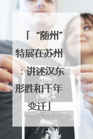 “随州”特展在苏州：讲述汉东形胜和千年变迁