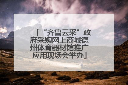 “齐鲁云采”政府采购网上商城德州体育器材馆推广应用现场会举办