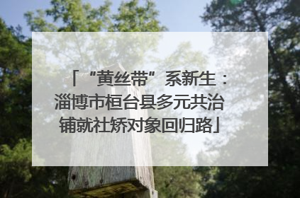 “黄丝带”系新生：淄博市桓台县多元共治铺就社矫对象回归路