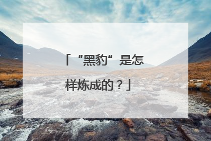 “黑豹”是怎样炼成的？