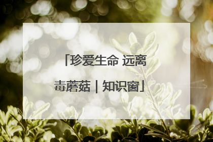 珍爱生命 远离毒蘑菇｜知识窗