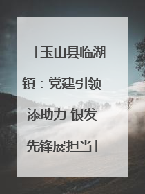 玉山县临湖镇：党建引领添助力 银发先锋展担当