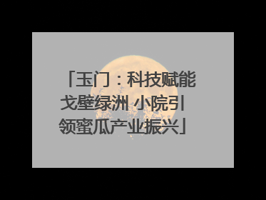 玉门：科技赋能戈壁绿洲 小院引领蜜瓜产业振兴